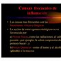 Image result for Inflammation vs Infection