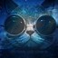 Image result for Space Unicorn Kitty