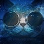 Image result for Weird Desktop Wallpapers Funny Cat in Space