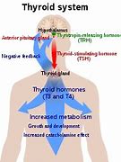 Image result for Thyroid Diet Chart PDF