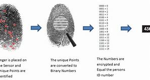 Image result for How Fingerprint Sensor Works