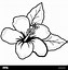 Image result for Tropical Flower Line Drawing