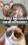 Image result for Cat Smiling Ugly Meme