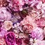 Image result for Flowe Wallpaper for iPhone 14 Pro Max