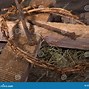 Image result for Cross Crown of Thorns