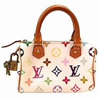 Image result for Louis Vuitton Rainbow Bag