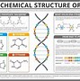 Image result for DNA Double Helix Model Labeled