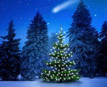Image result for Snowy Christmas Background Images