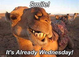 Image result for Happy Wednesday Adult Meme