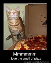 Image result for Pizza Cat Meme