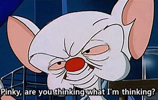 Image result for Pinky and the Brain Quotes GIF