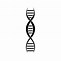 Image result for DNA Strand
