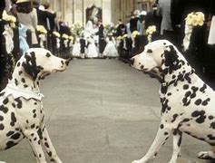 Image result for 101 Dalmatians Film