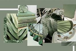 Image result for Sage Green Wallpaper Laptop