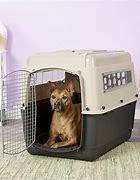 Image result for Biggest Dog Cage in the World