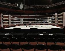 Image result for 20 by 20 Boxing Ring