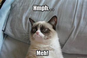 Image result for Tard Grumpy Cat Meme