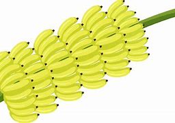 Image result for Banana Bunches Clip Art