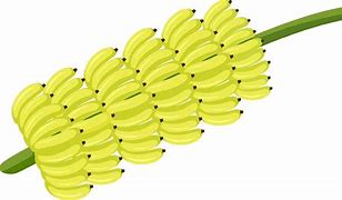 Image result for Banana Bunch Clip Art Black and White