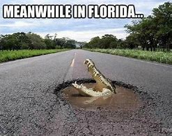 Image result for Florida Memes Funny