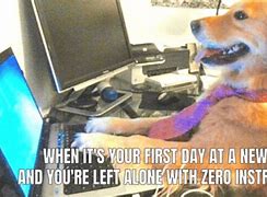 Image result for First Day Job Meme