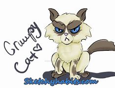 Image result for Grumpy Cat Stickers