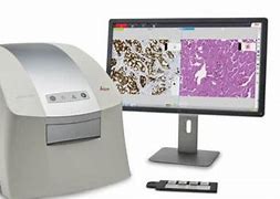 Image result for Digital Pathology Scanner Mat