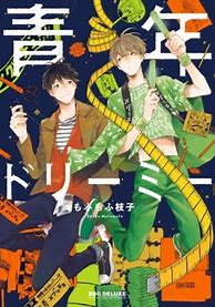 Image result for Seinen Manga