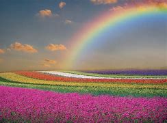Image result for Spring Rainbow Television Screen