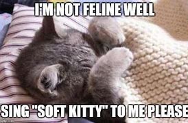 Image result for Extremely Ill Cat Meme