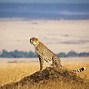 Image result for Kenya Tours and Travel