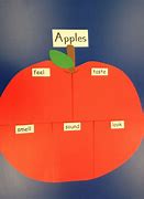 Image result for Apple Flavor Chart