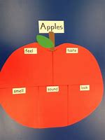 Image result for 5 Types of Apple's