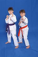Image result for Karate Games