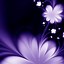 Image result for Flower Phone Wallpapers