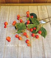 Image result for Fall Berry Picks