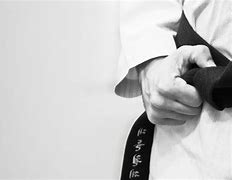 Image result for Martial Arts Slides Aesthetic