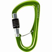 Image result for Locking Carabiner in Camping