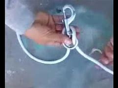 Image result for How to Tie Snap Hooks to a Flag Pole Rope