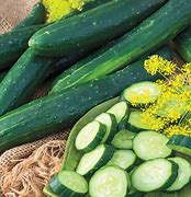 Image result for Light Green Cucumber