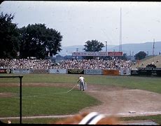 Image result for Little League World Championship