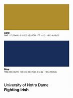 Image result for Notre Dame Gold Color