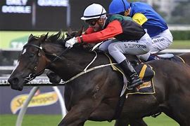 Image result for English Horse Racing
