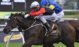 Image result for English Horse Racing