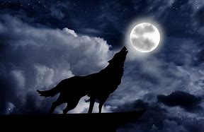 Image result for Two Wolves Howling at a Full Moon