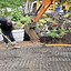 Image result for What Is a French Drain