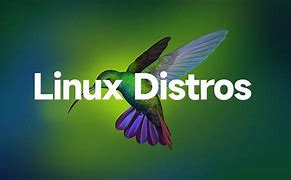 Image result for Cool Linux Distros