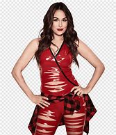 Image result for Nikki Bella Raw Dress
