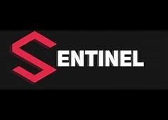 Image result for Sentinel Roblox Logo