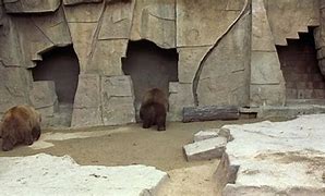 Image result for Ron Burgundy Zoo Scene